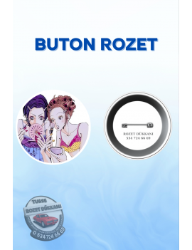 TV GIRL WHO REALLY CARES TEMALI ROZET | ALTERNATİF MÜZİK TASARIM