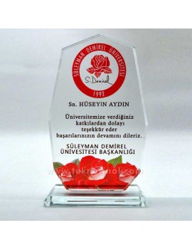 Dokuzgen Cam Kristal Plaket | 11,5x18 cm Baskı Alanlı | 1 cm Kalınlık