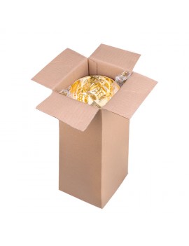 Yıldız Erciyes Ödül Kupası | 35 cm |