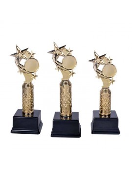 Yıldız Erciyes Ödül Kupası | 35 cm |